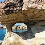 Golden Tree Paralimni