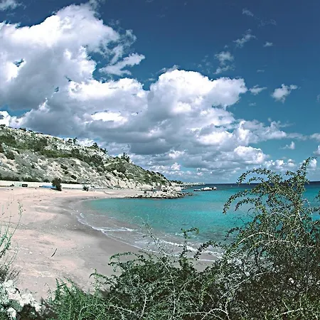 Golden Tree * Paralimni