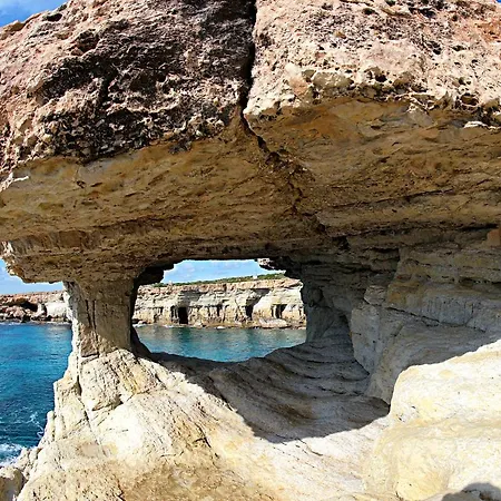 Golden Tree Paralimni