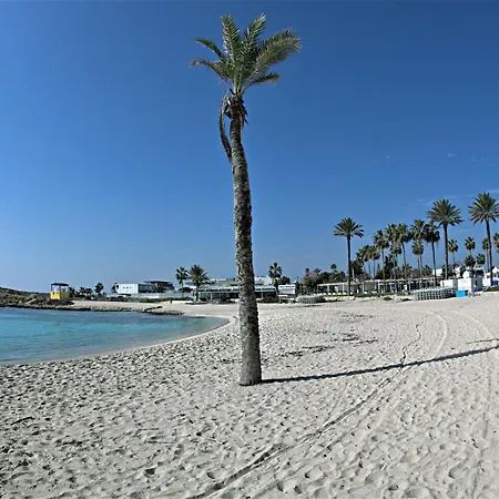 Golden Tree * Paralimni