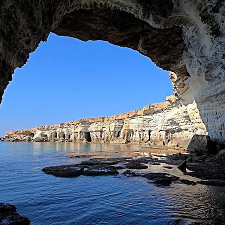 Golden Tree Paralimni