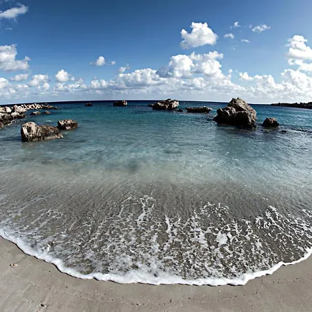 Apartament Golden Tree