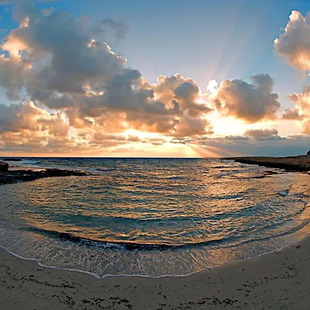 Appartamento Golden Tree *