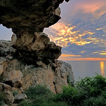 Golden Tree Apartament *