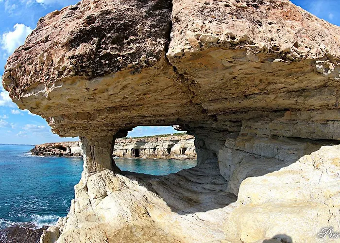 Golden Tree Paralimni