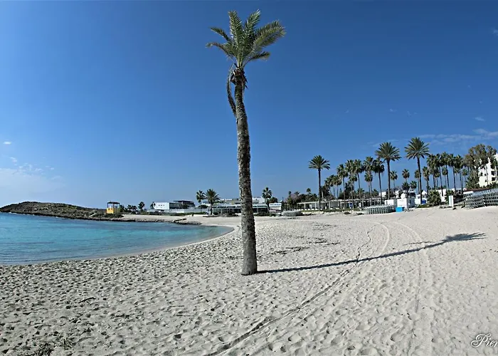 Golden Tree * Paralimni