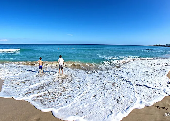 Apartamento Golden Tree *