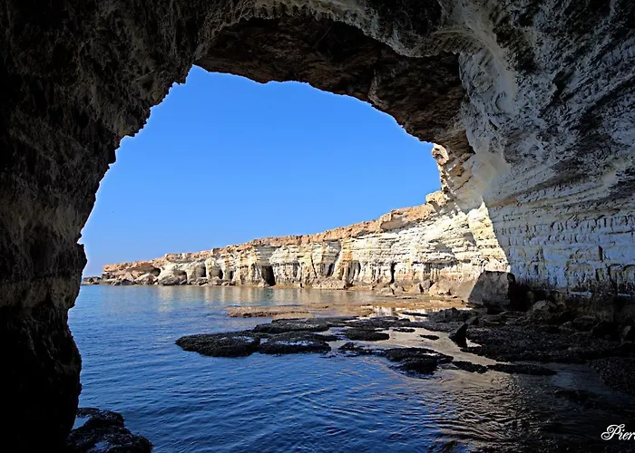 Golden Tree Paralimni