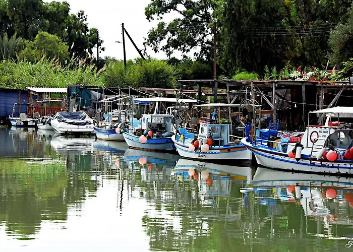Golden Tree Lägenhet *