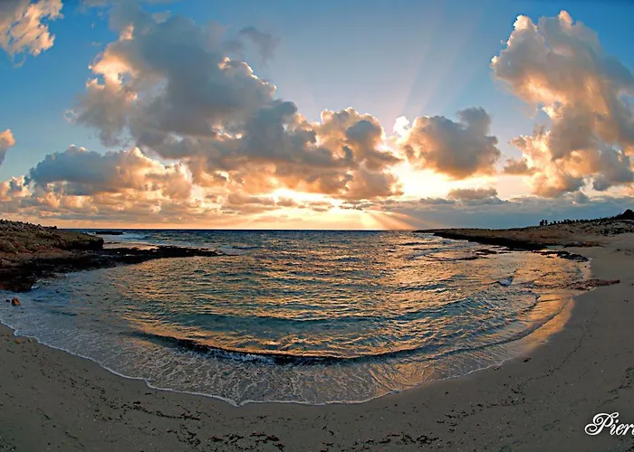 Apartamento Golden Tree *