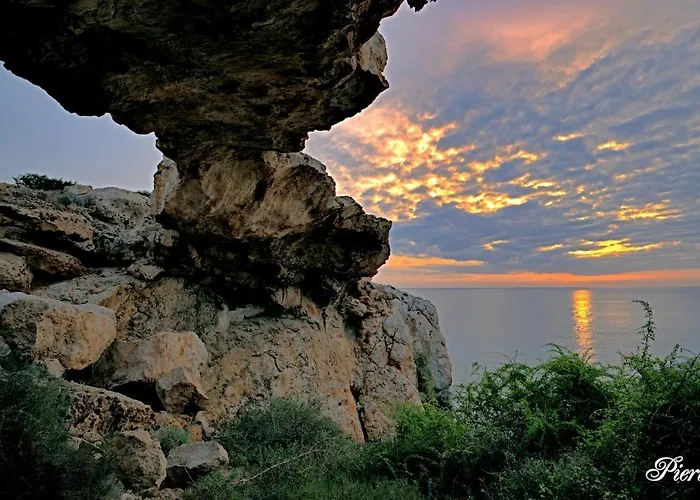 Golden Tree Lägenhet *